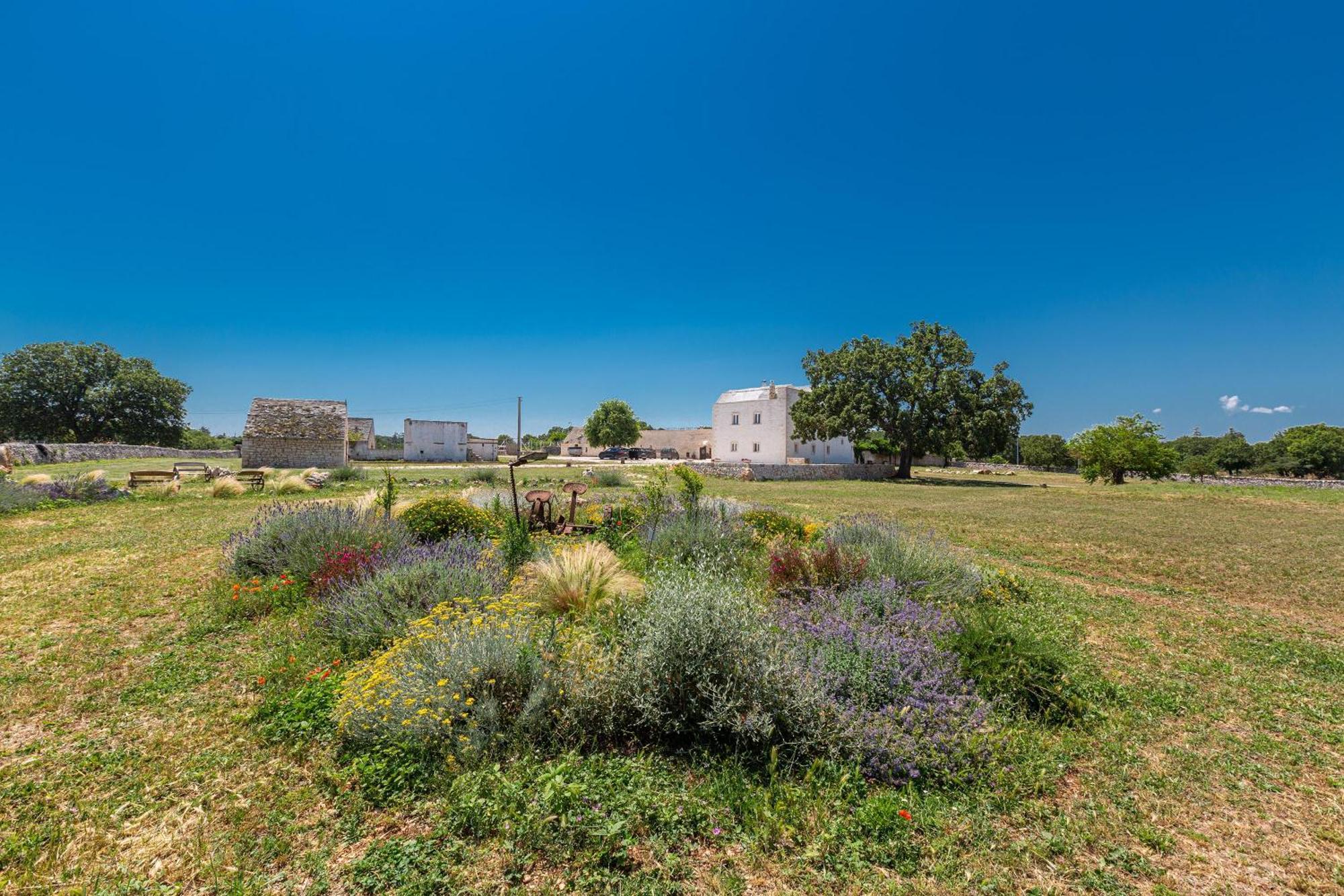 Masseria Nicola Casavola 马丁纳弗兰卡 外观 照片